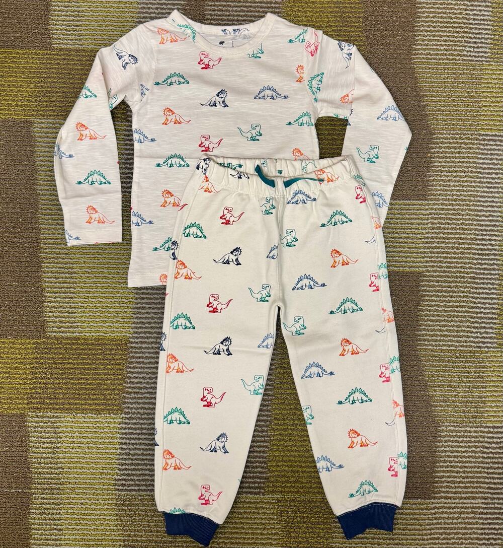 Rainbow Dinosaurs Set Shirt Jogger Sweapants Organic Cotton Monica + Andy Size 5